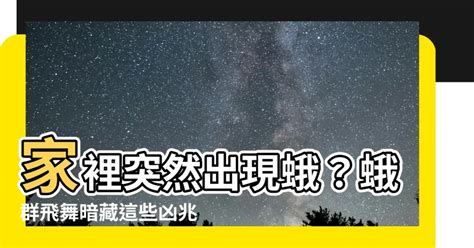 靈堂出現蛾|【靈堂出現蛾】靈堂驚現大量蛾！暗示「兩事」即將發生？